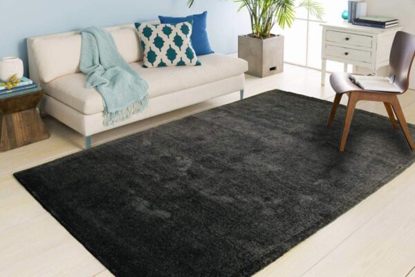 Version 1.0.0 Designer Carpets