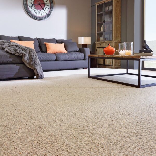 FLOOR COVERING CARPET Roomsize Carpets